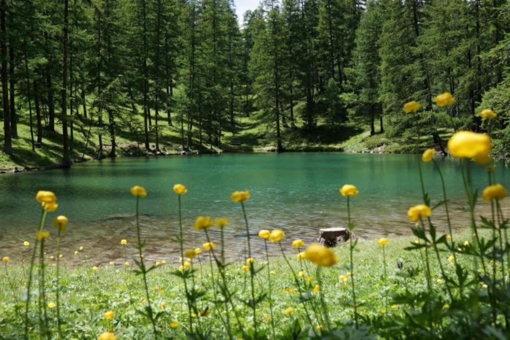 Super Alpes Du Sud Risoul